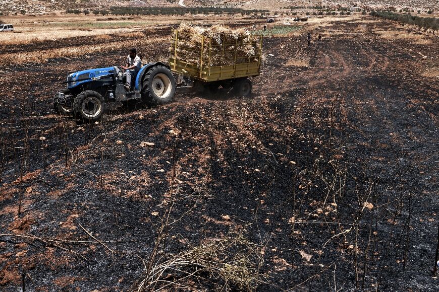 Farmers harvest wheat in a partially burnt field that was reportedly set on fire by Israeli settlers northeast of Ramallah in the West Bank