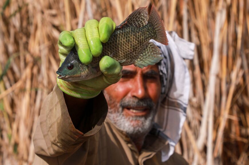 A marsh fisherman with his catch