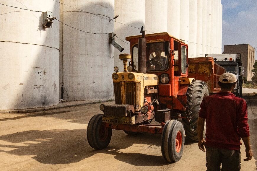 The FAO estimates that harsh weather has impacted nearly 2.5 million hectares of wheat-growing land