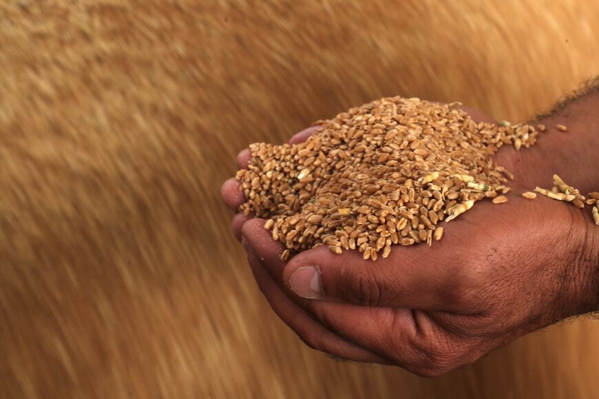 Before the war, Syria was self-sufficient in wheat, producing an average of 4.1 million tonnes annually, but 14 years of conflict crippled production