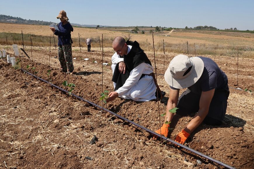Latrun's monks are Trappists, a Catholic order centred on contemplation and simplicity 
