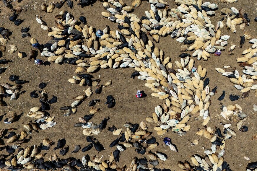 Nestled near Turkey's borders with Iran and Iraq, the mountains are known for waterfalls, glacial lakes and scenic beauty