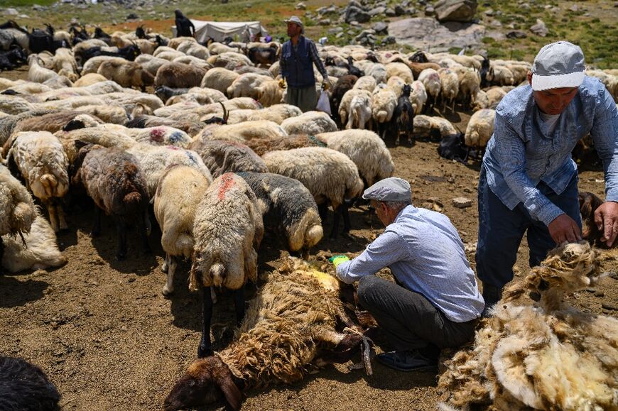 The conflict has claimed the lives of 50,000 civilians and 2,000 soldiers, according to Turkey's president