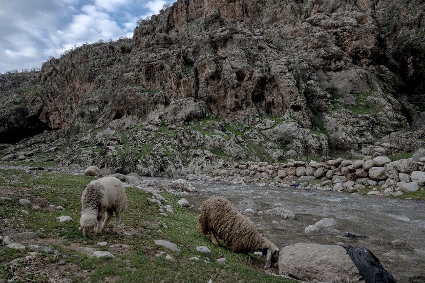 Some herders have had to change their habits due to the threat of drone strikes 