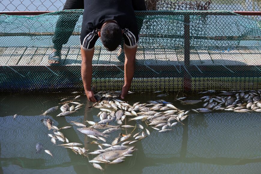 Following the fish die-off, authorities have vowed they will take the necessary measures to treat wastewater before discharge