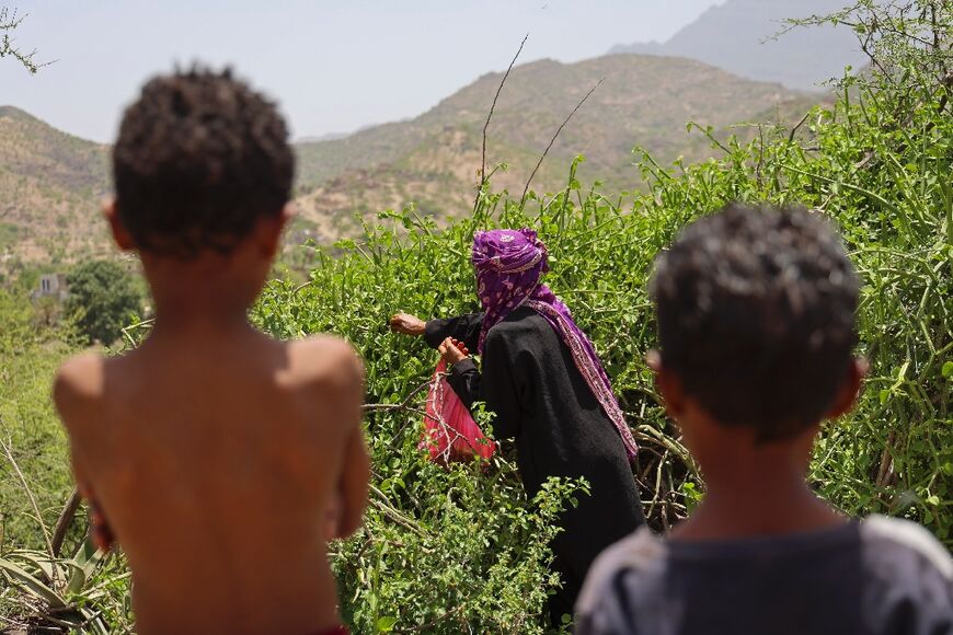 Saeedah Mohammed forages for tree leaves as food aid has become scarce in Yemen