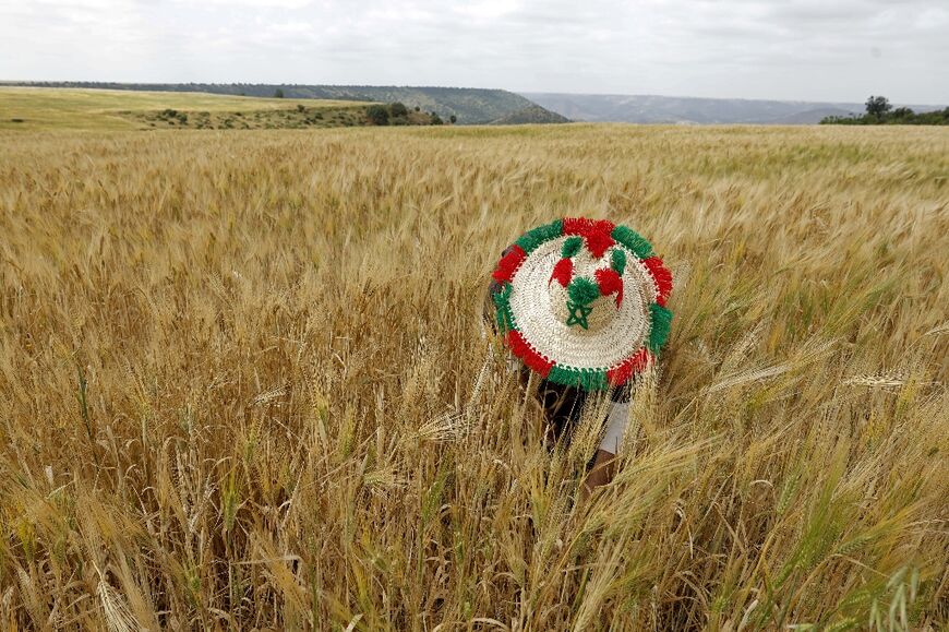 Farmers say higher fuel prices are driving up the cost of nearly everything needed to produce crops