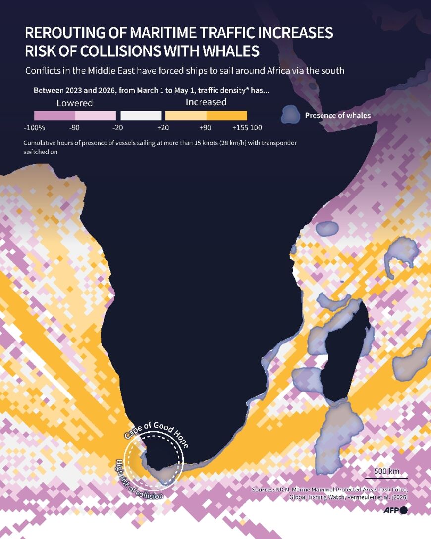 Rerouting of maritime traffic increases risk of collisions with whales