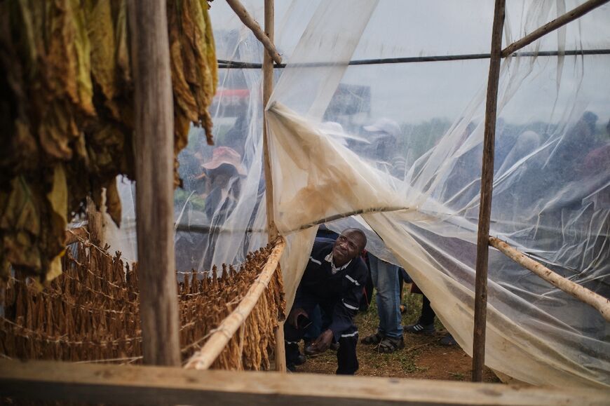 Zimbabwe wants to grow its tobacco output and increase domestic value addition of the crop, which is largely exported