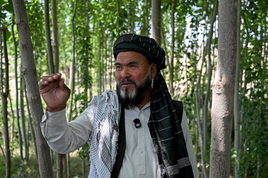 Afghan village leader Ghulam Ali Poya stands amid paulownia trees in a micro-forest at the Char Bagh area of Doshi district, Baghlan province