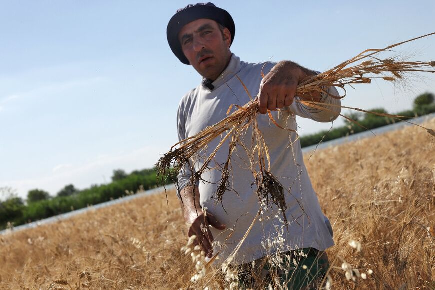 Issa al-Moussa shows his water-damaged crops as he stands in a flooded field in Syria's Deir Ezzor province