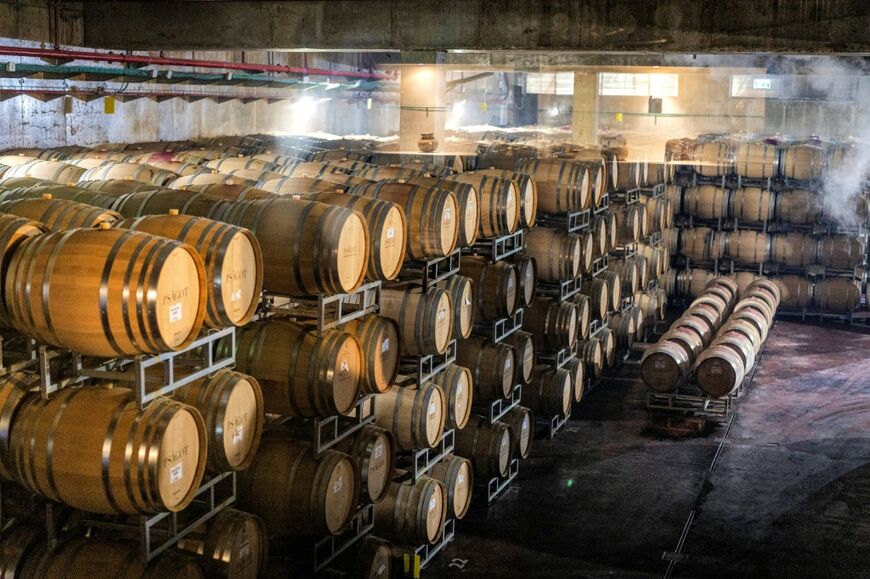 Barrels are pictured in a cellar at a winery facility in the Israeli settlement of Shaar Binyamin