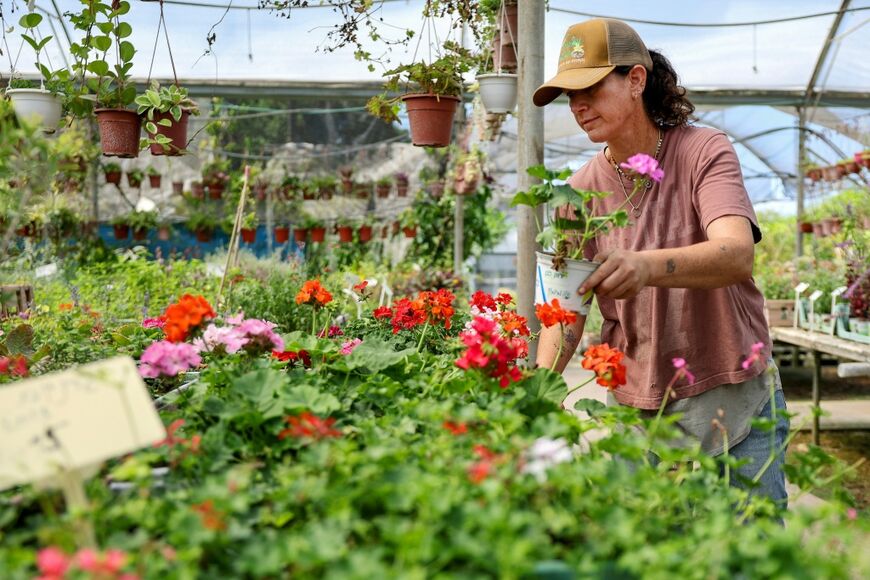 Hezbollah's attacks on northern Israel forced plant nursery owner Sigal Malachi to close her shop for several years
