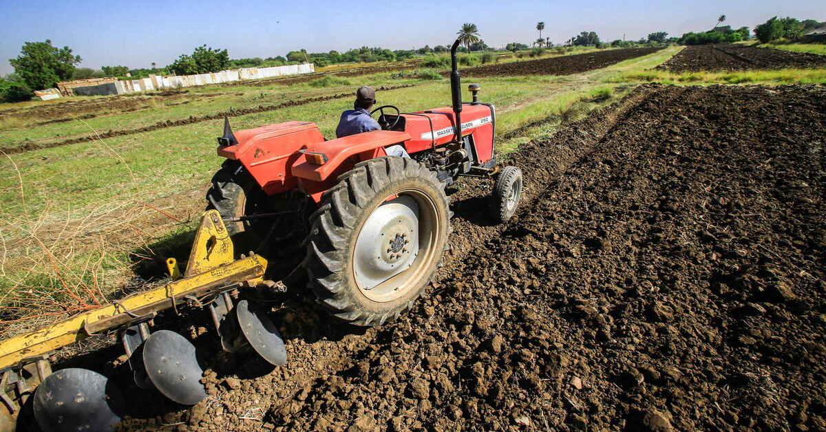 Egypt, Sudan seek greater cooperation in agriculture, food industries - Vimarsana News
