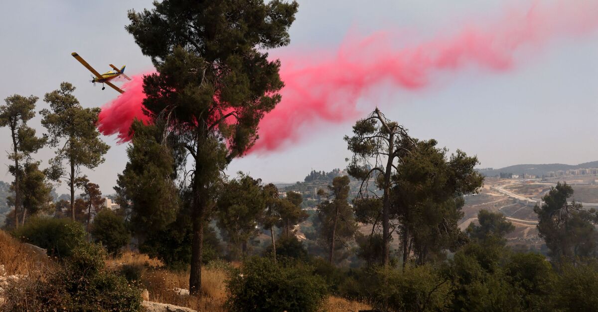 Large fires erupt near Jerusalem, force evacuations - Vimarsana News