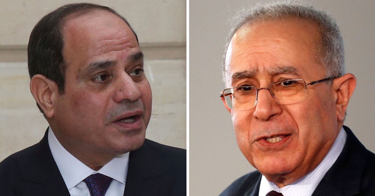 Egypt, Algeria find common ground on Libyan crisis - Vimarsana News