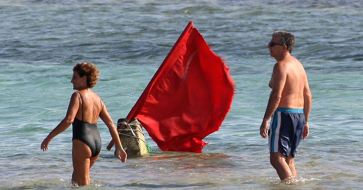 Egypt investigates alleged shark attack off northern coast