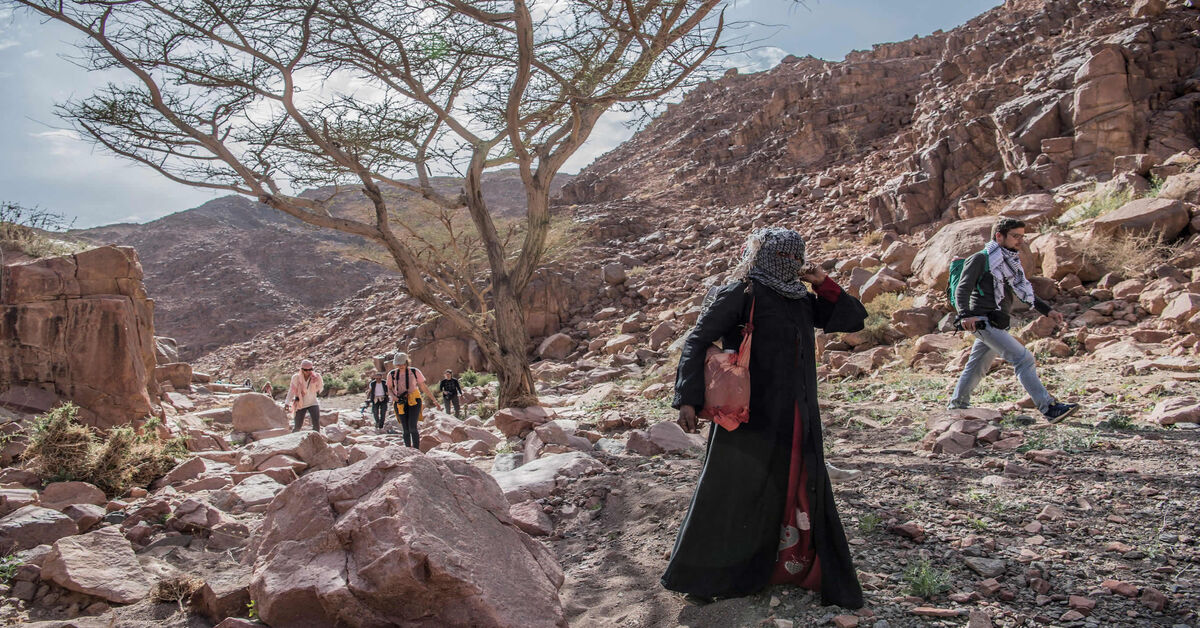 Women-led tourism initiatives are changing the way Egypt is seen, experienced - Vimarsana News