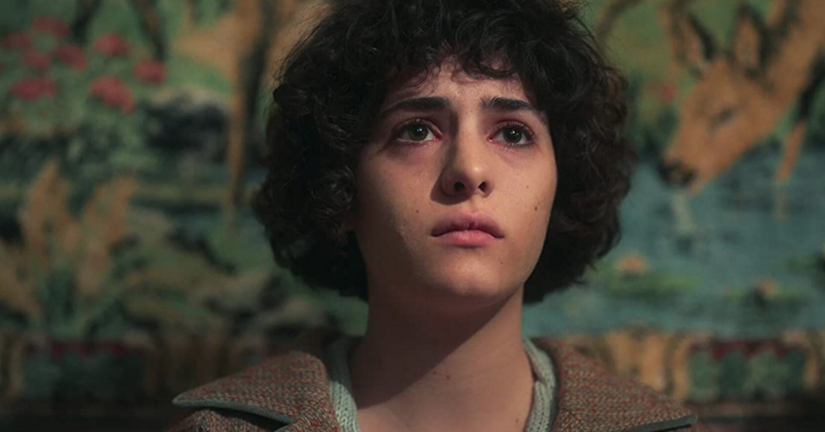 Смешные видео с животными смешное видео с собаками смешные