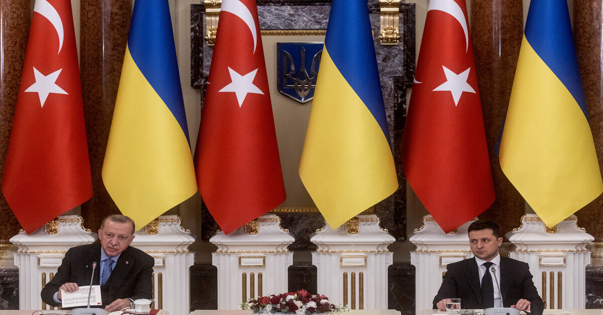 Erdogan stuck on fence in Ukraine crisis - Vimarsana News
