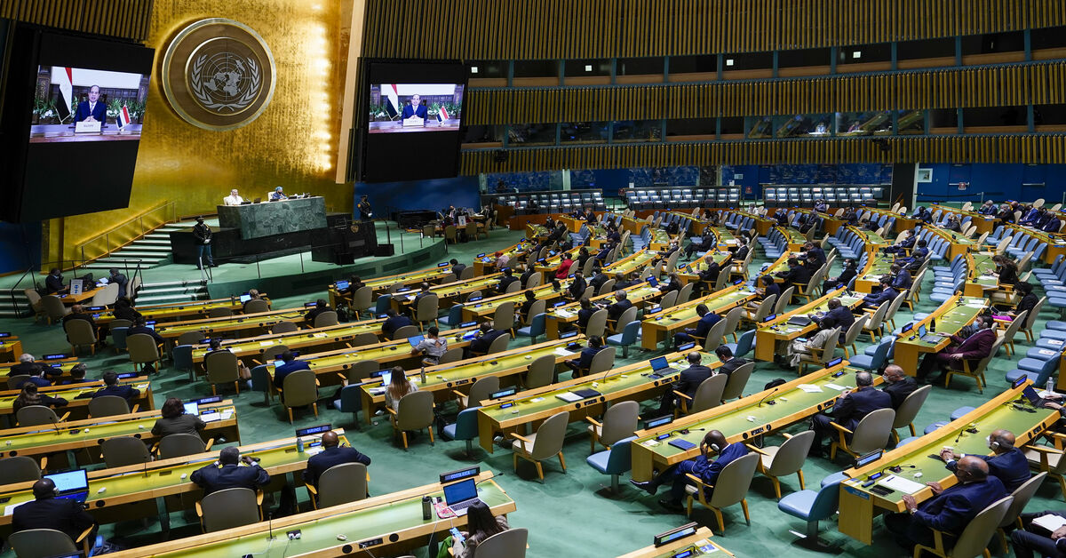 Ukraine calls on Egypt to support it, abandon neutrality - Vimarsana News