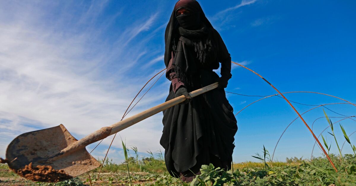 UN releases dire warning about water scarcity in Middle East and North Africa - Vimarsana News