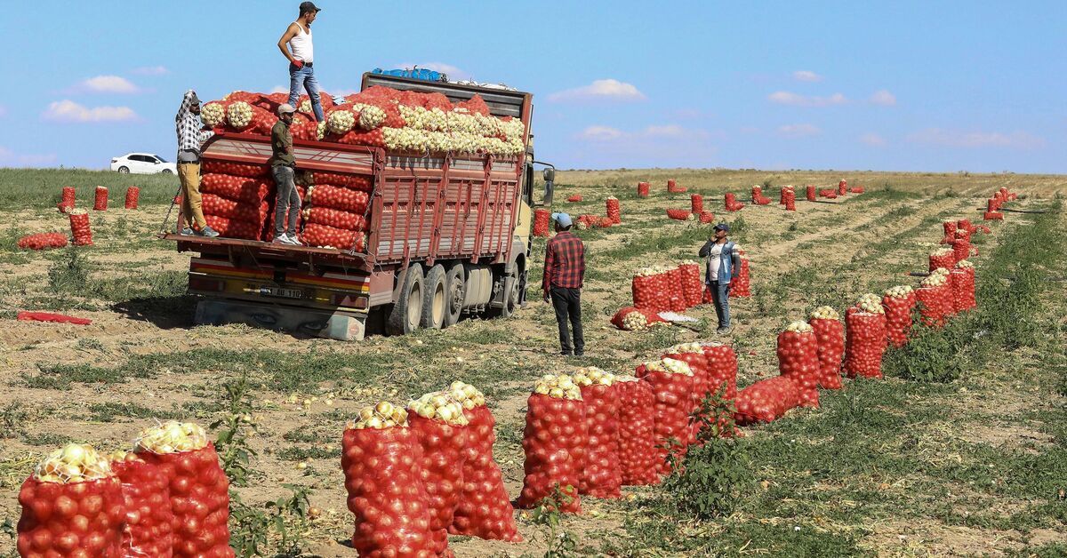 Farm call. Кризис сельского хозяйства. Сельское хозяйство Турции. Фермеры Турции. Продовольственный кризис.