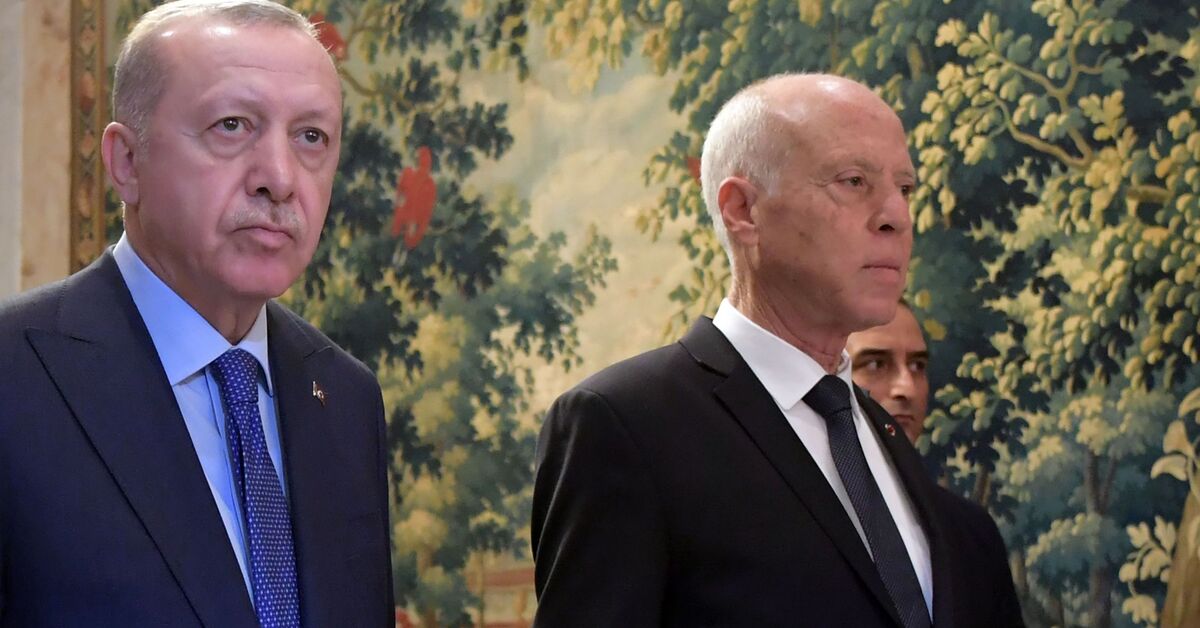 تصريحات أردوغان تهز العلاقات التونسية التركية