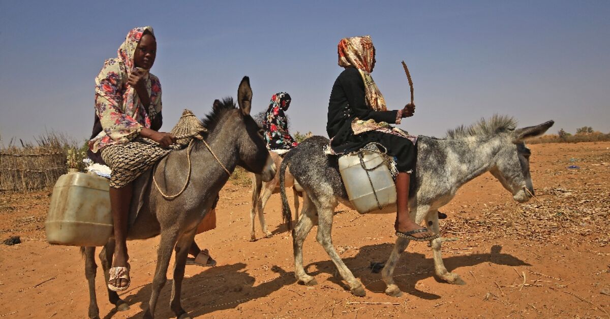 Three killed in latest violence in Sudan's Darfur: aid group - Vimarsana News