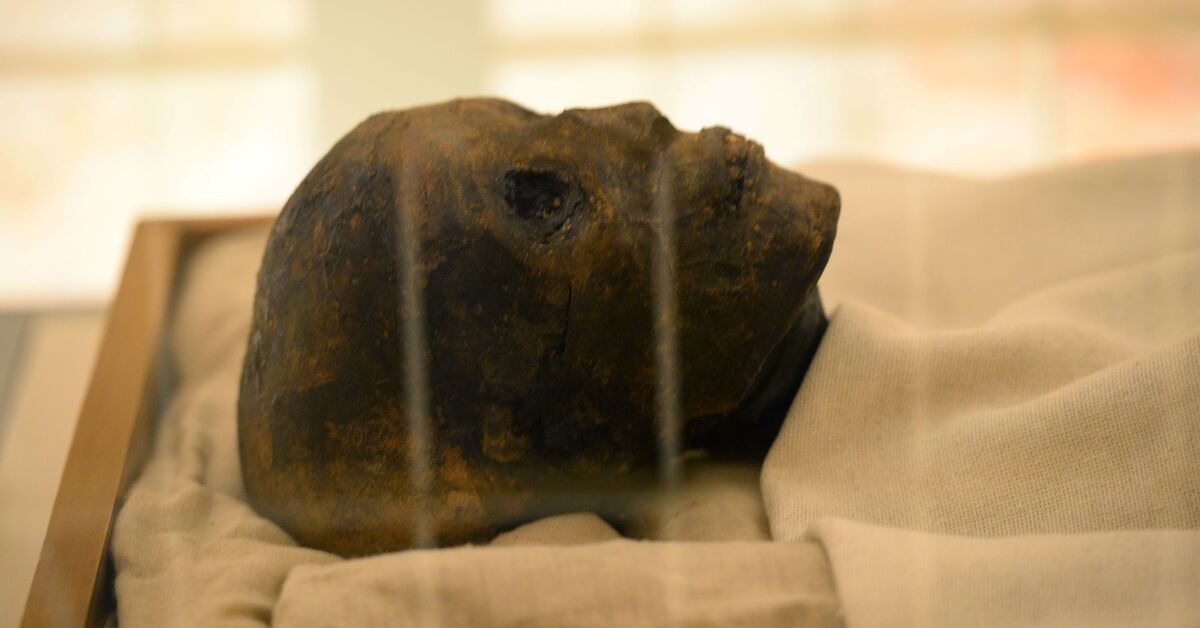 Half-mummy confuses Egyptian archaeologists - Vimarsana News