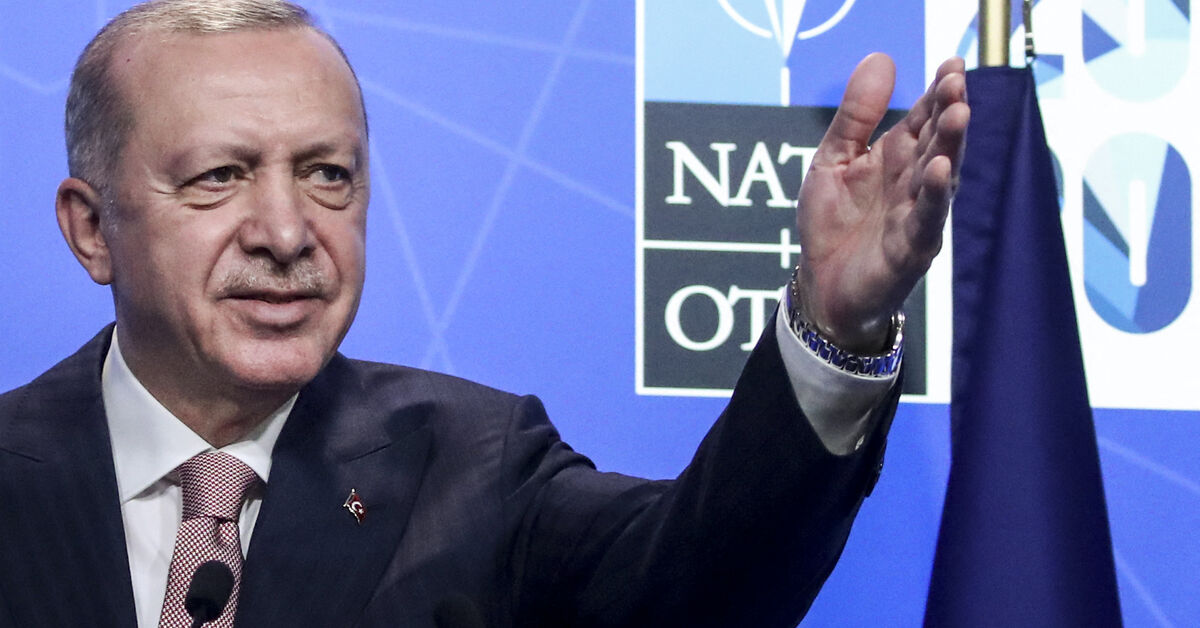 Turkey continues to play hard ball over Sweden, Finland NATO membership - Vimarsana News