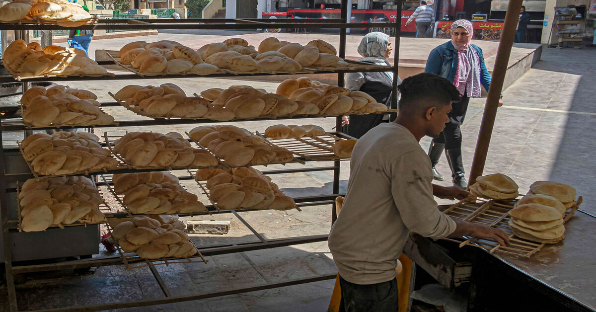 Egypt to receive wheat shipments from Ukraine by rail from Poland - Vimarsana News