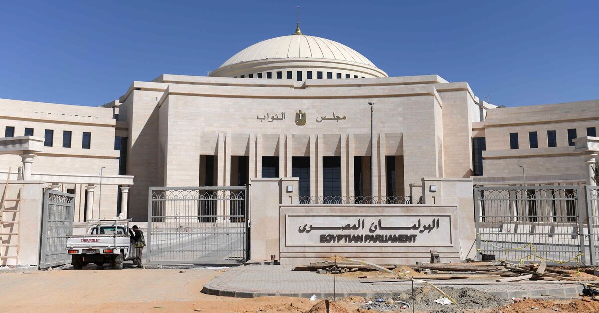 Egypt ready to begin national dialogue with opposition parties - Vimarsana News