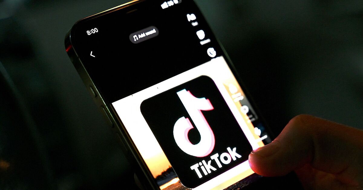 Turkish-backed Syrian factions target TikTok influencers in Aleppo - Vimarsana News