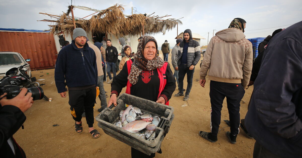 Meet Gaza's fisherwoman - Vimarsana News
