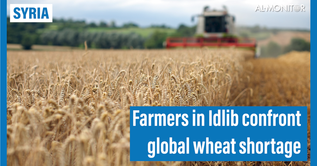 Farmers in Syria's Idlib confront global wheat shortage - AL-Monitor: The  Middle Eastʼs leading independent news source since 2012