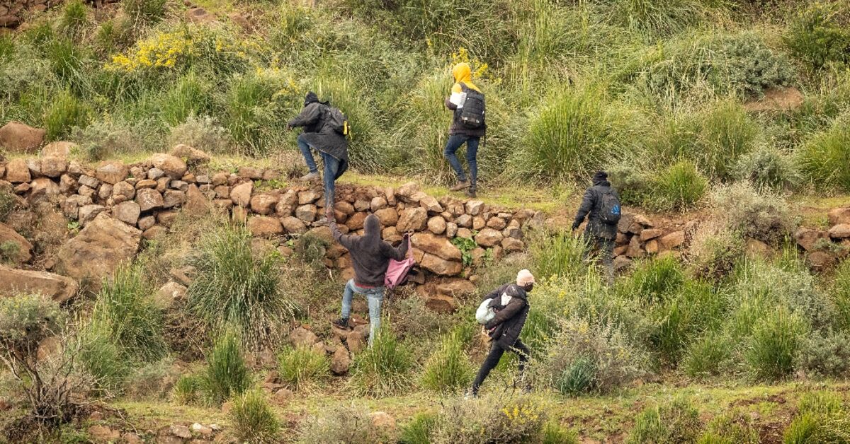 Spain says deadly migrant rush 'attack' on its territory - Vimarsana News