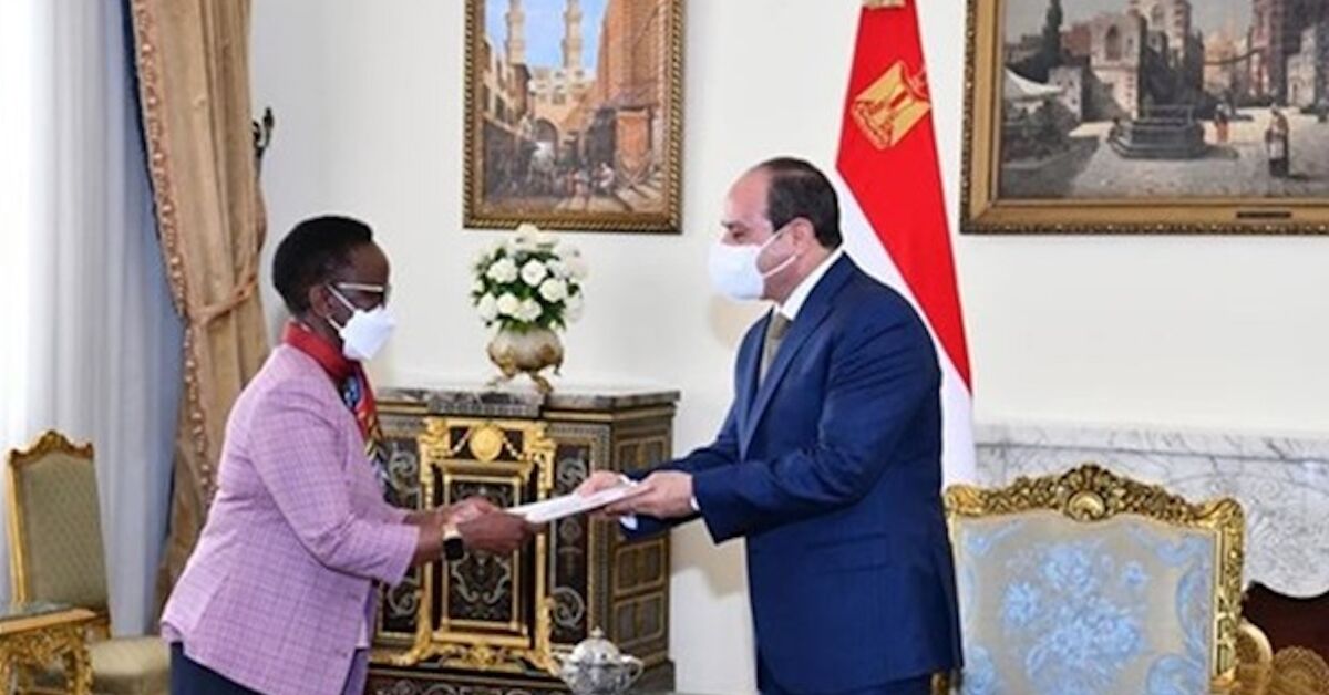 Egypt boosts ties with Tanzania amid stalled Nile dam dispute - Vimarsana News