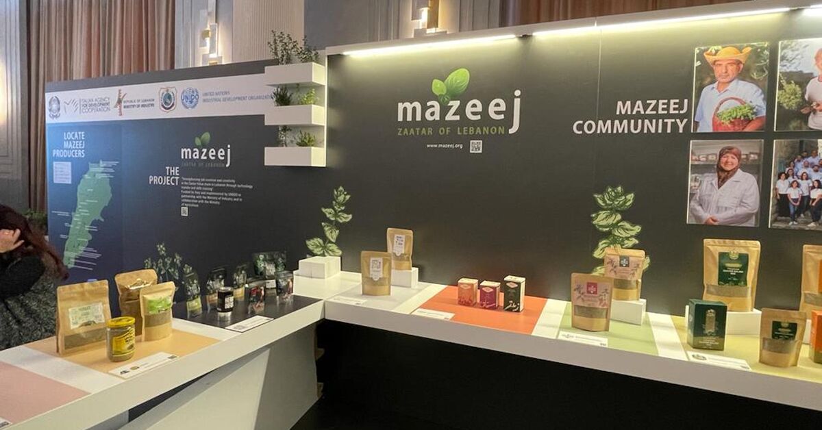 Lebanese initiative to support struggling zaatar producers - Vimarsana News