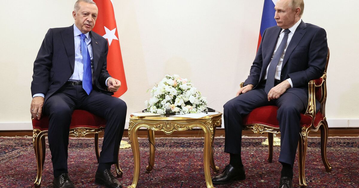Erdogan offers Russia economic lifeline by paying in rubles - Vimarsana News