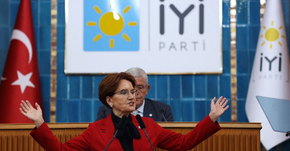 Third alliance enters the fray ahead of Turkish elections - Vimarsana News