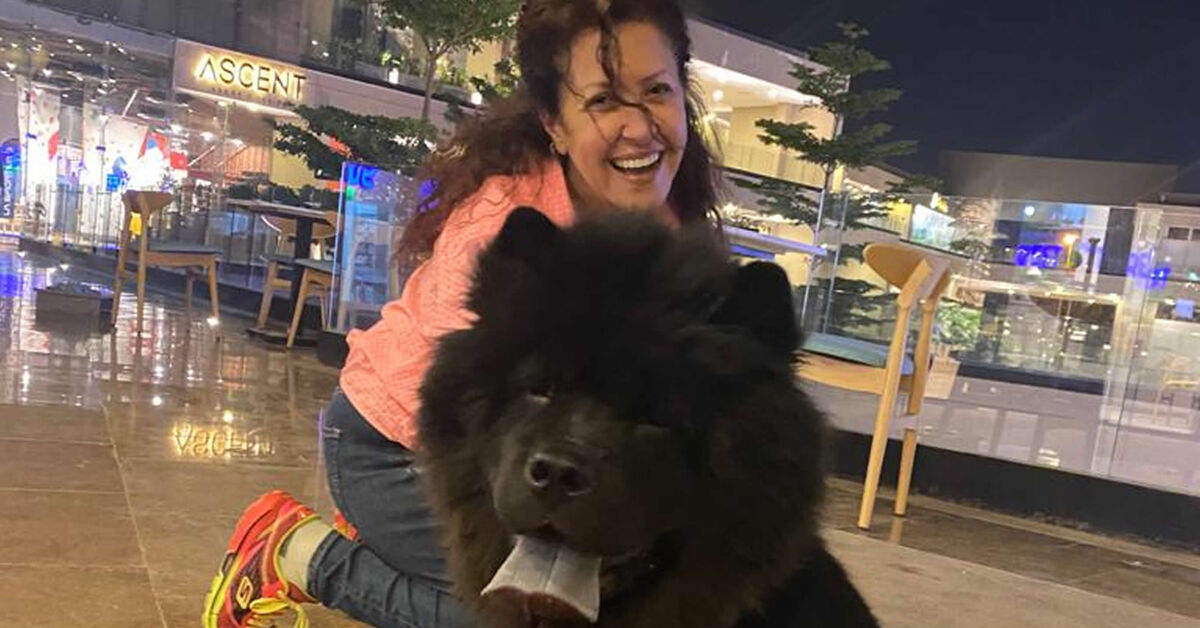 Abre el primer café para perros de Egipto