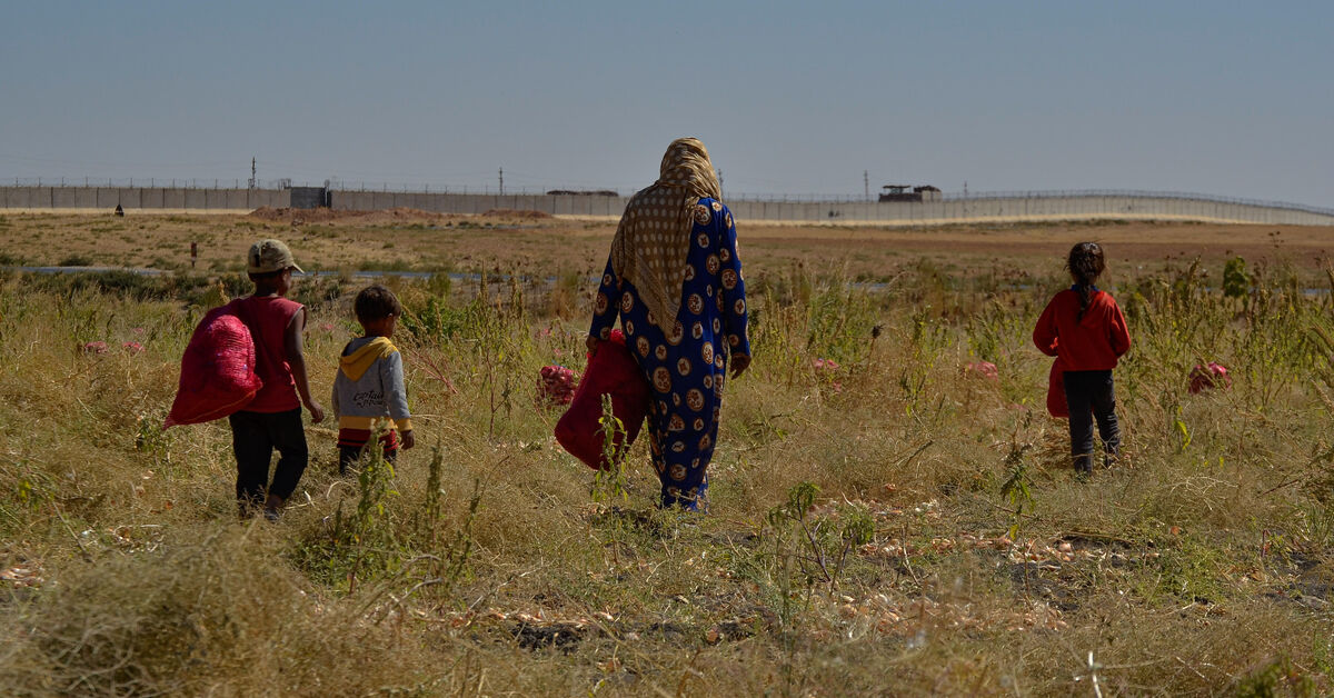 Syrian farmers trapped by 'Erdogan's wall' - Vimarsana News