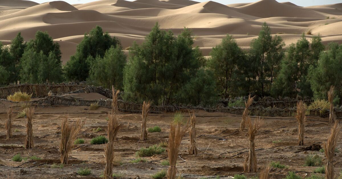 Egypt plans to launch first satellite to monitor climate changes in Africa - Vimarsana News