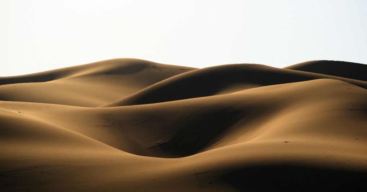 'Be Afraid': Dakar 2023 promises more dunes in Empty Quarter - Vimarsana News