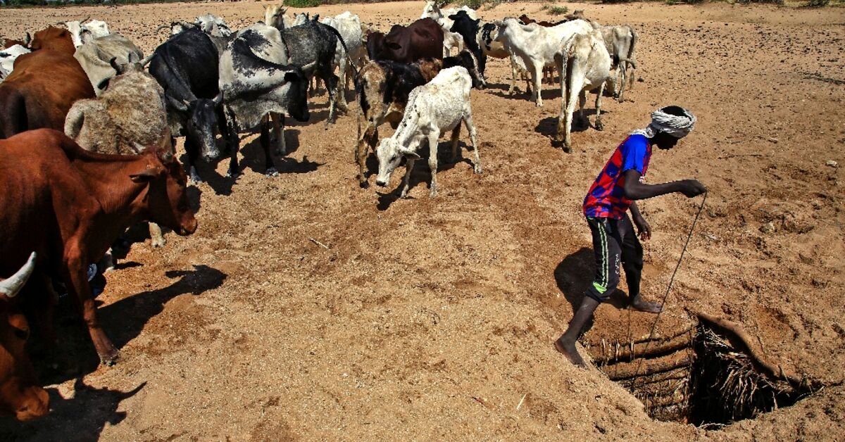 Eight killed in fighting in Sudan's Darfur: aid group - Vimarsana News