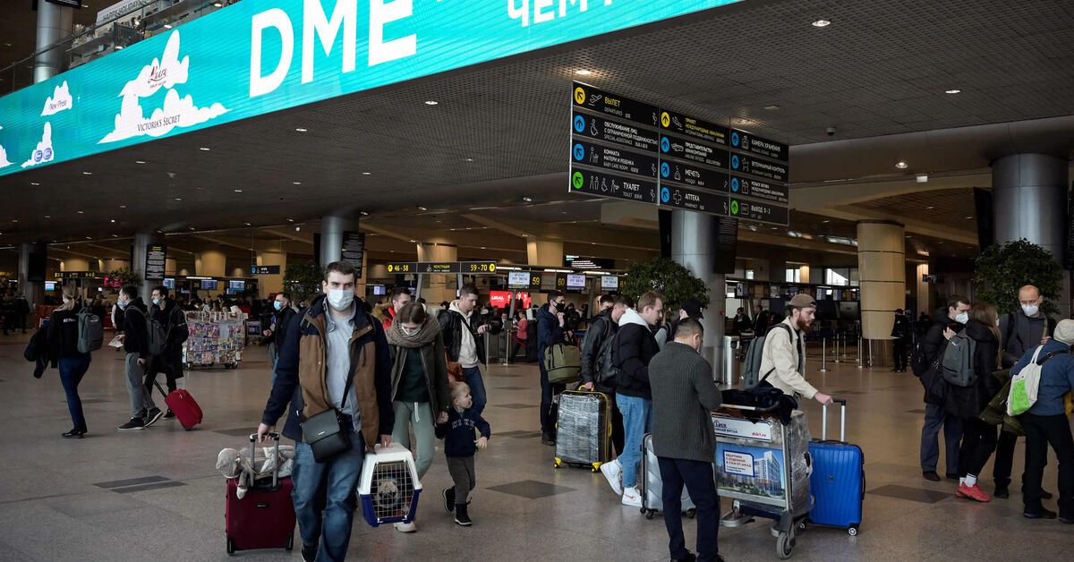 Russia to add Gulf countries to visa-free travel list - Vimarsana News