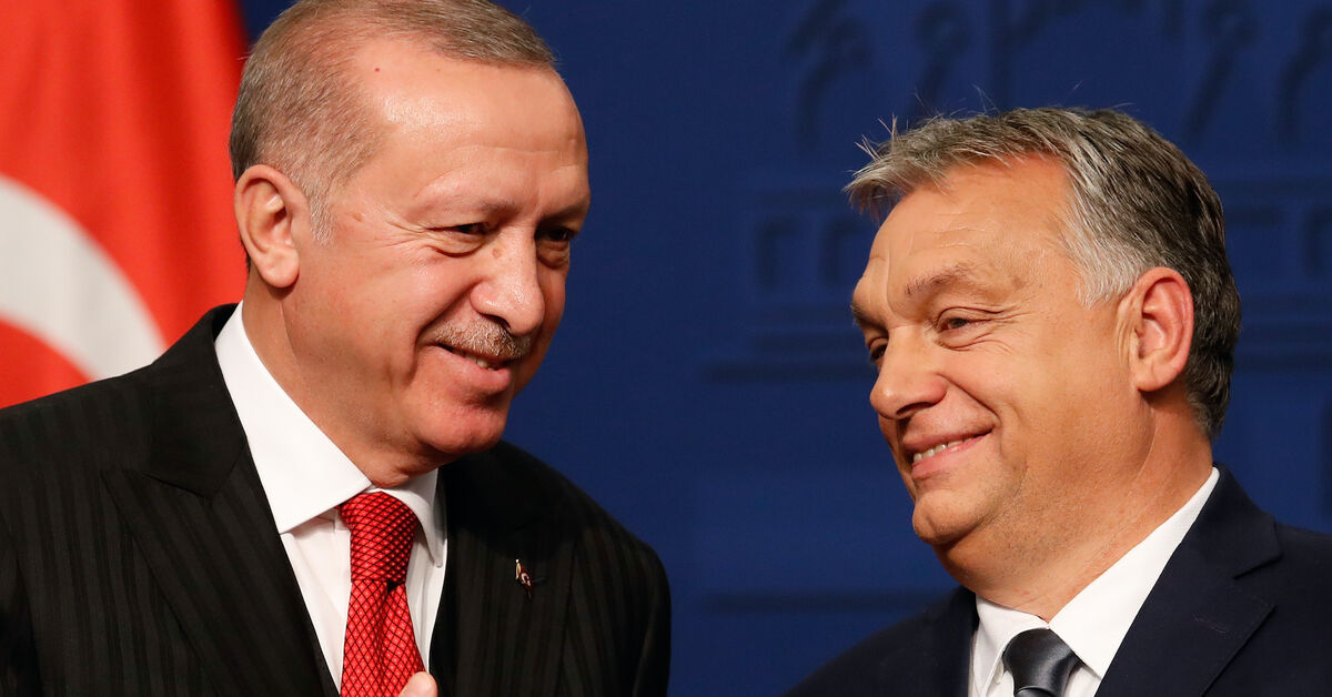 Türkiye seçimleri: yabancı müttefikler erkenden Erdoğan’ı tebrik etmek için acele ediyor