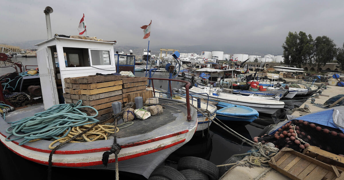In Lebanon, women break barriers by tinkering fishing nets to secure income - Vimarsana News