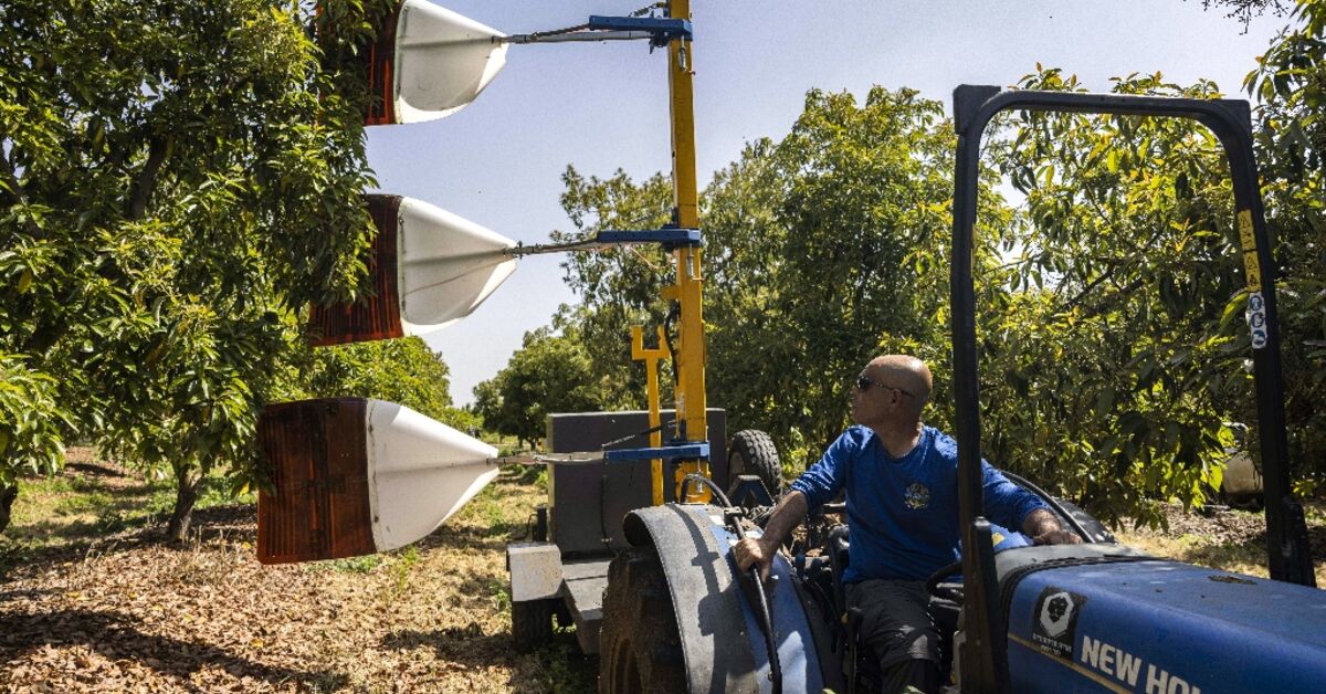 Israel enlists drones, AI and big data to farm for the future - AL ...